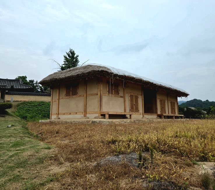 유네스코 세계유산 안동 하회마을 전경, 낙동강이 마을을 감싸 도는 여름 풍경