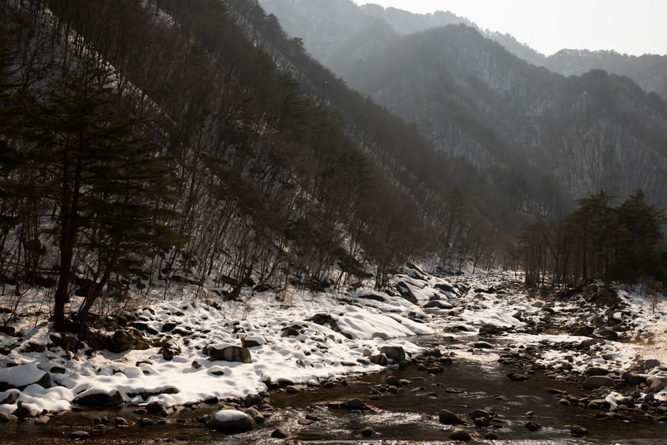 동학사 계곡을 끼고 걷는 등산로 여름 풍경