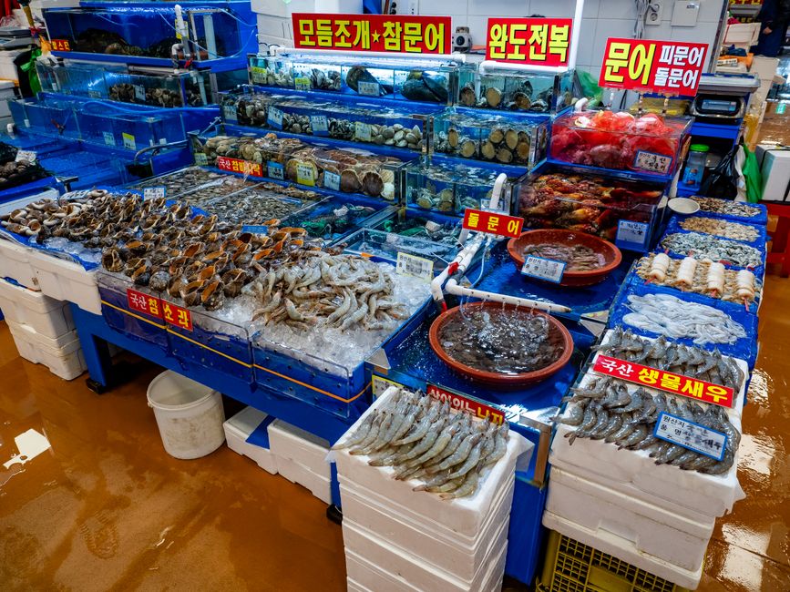 주문진 방파제와 어선이 정박한 항구 풍경