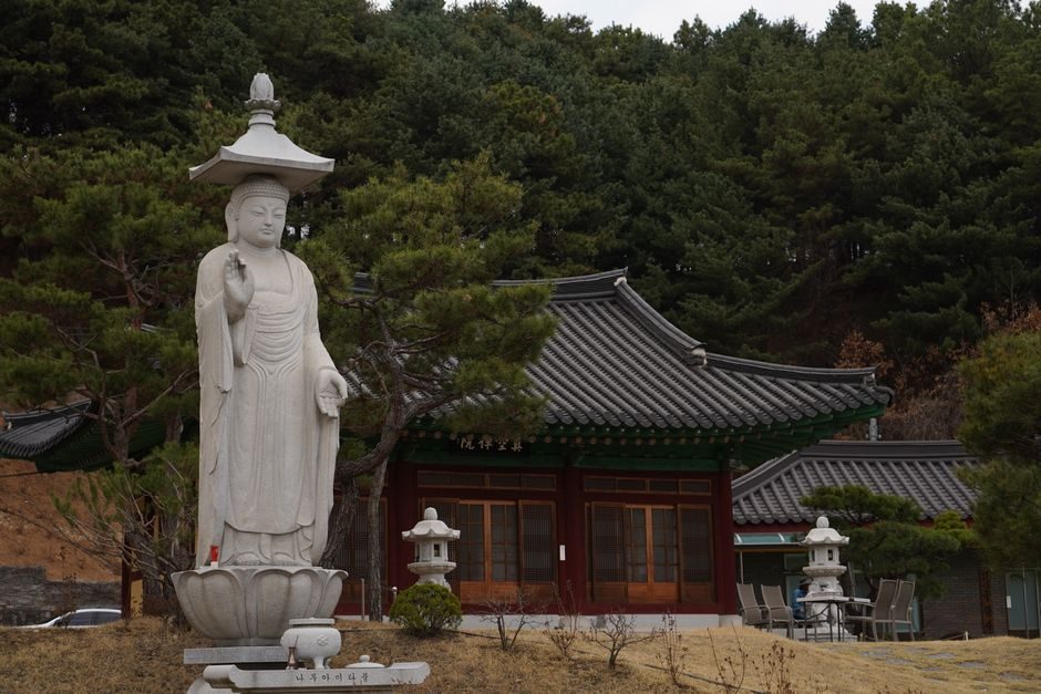 백련사 계곡 숲길 등산로