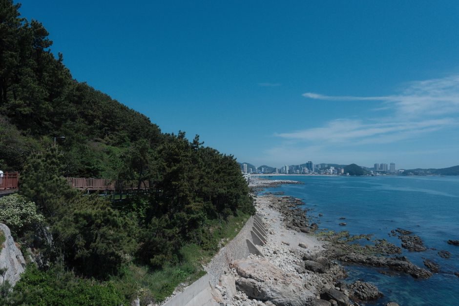 지리산 노고단 탐방로 여름 전경