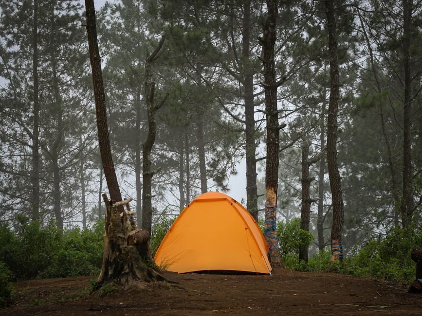 몽산포해수욕장 솔숲 캠핑장과 해변 풍경