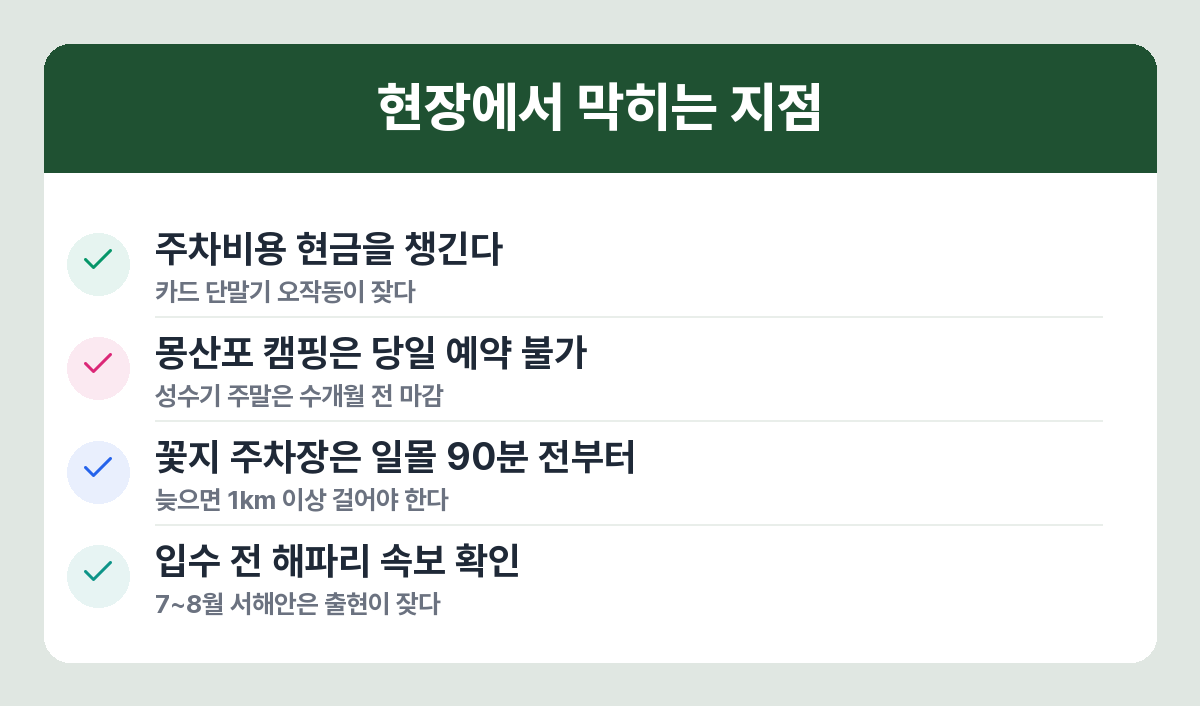 태안 드라이브 주의사항