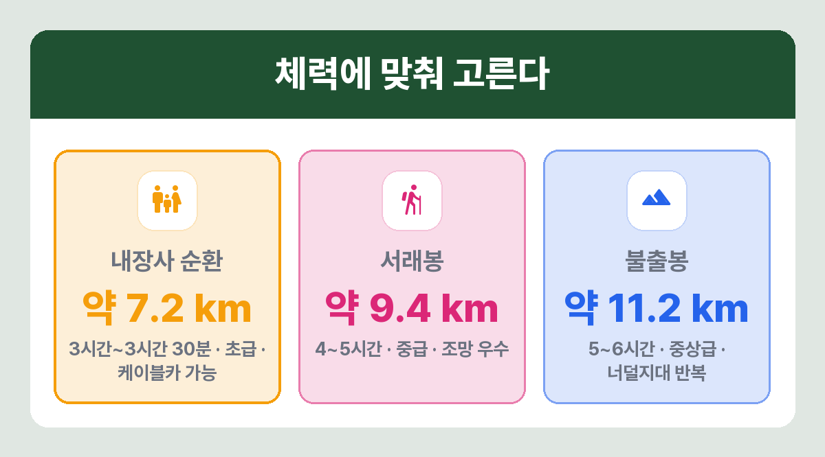 내장산 루트별 거리와 난이도