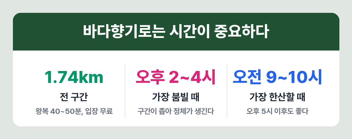 외옹치 바다향기로 거리와 붐비는 시간대