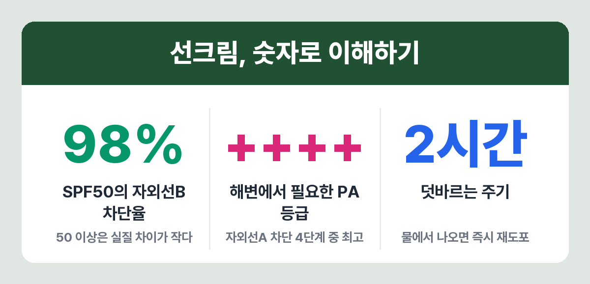 선크림 기준 — SPF50은 자외선B 98% 차단, PA는 ++++, 2시간마다 덧바르기
