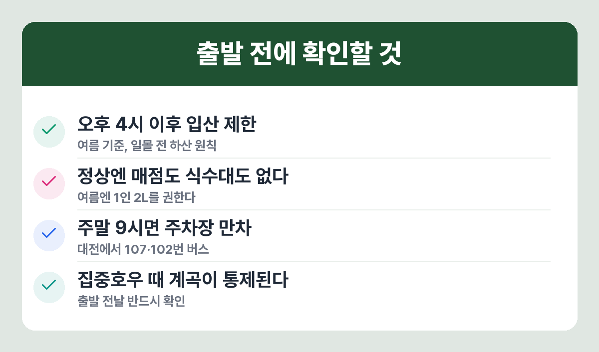여름 계룡산 산행에서 놓치기 쉬운 주의사항