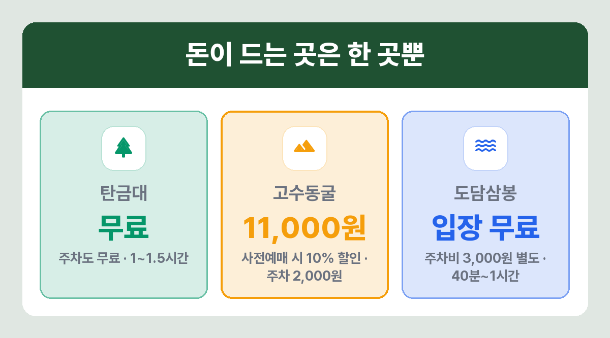 충주 단양 코스 입장료 비교