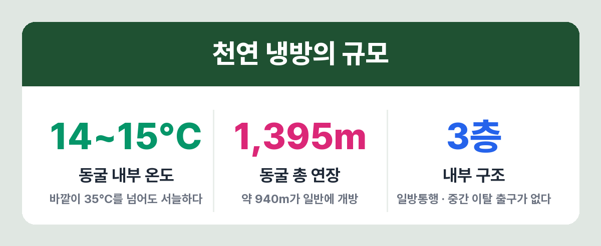 고수동굴 규모와 내부 온도