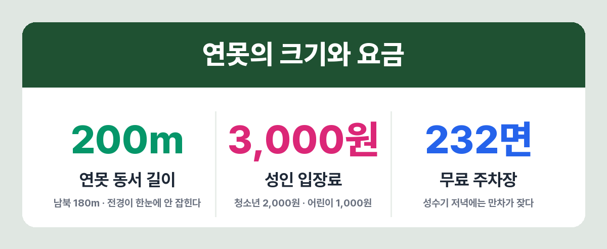 동궁과 월지 규모와 요금