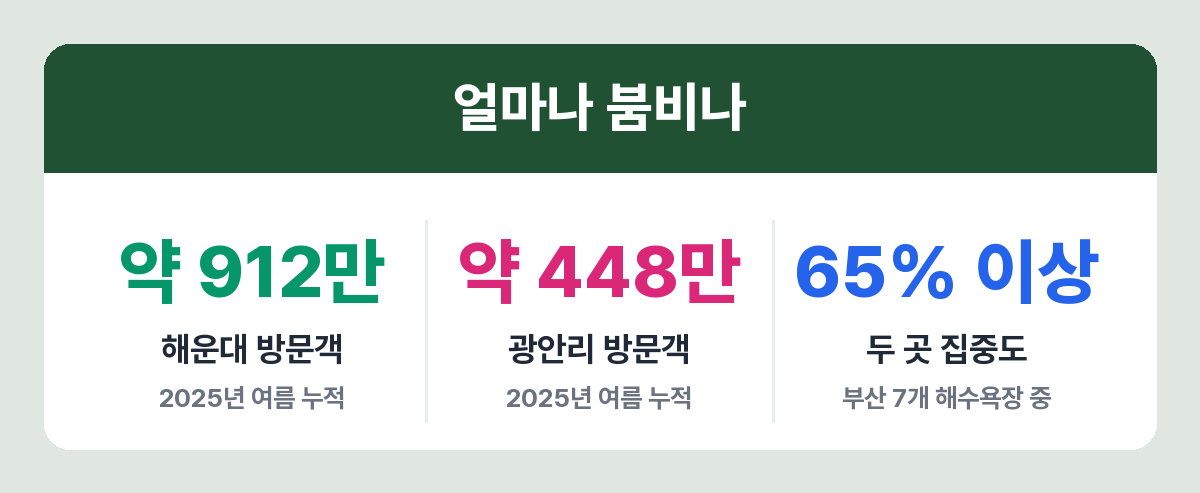 2025년 여름 해운대와 광안리 해수욕장 방문객 수