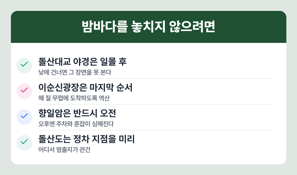 여수 밤바다 관람 요령