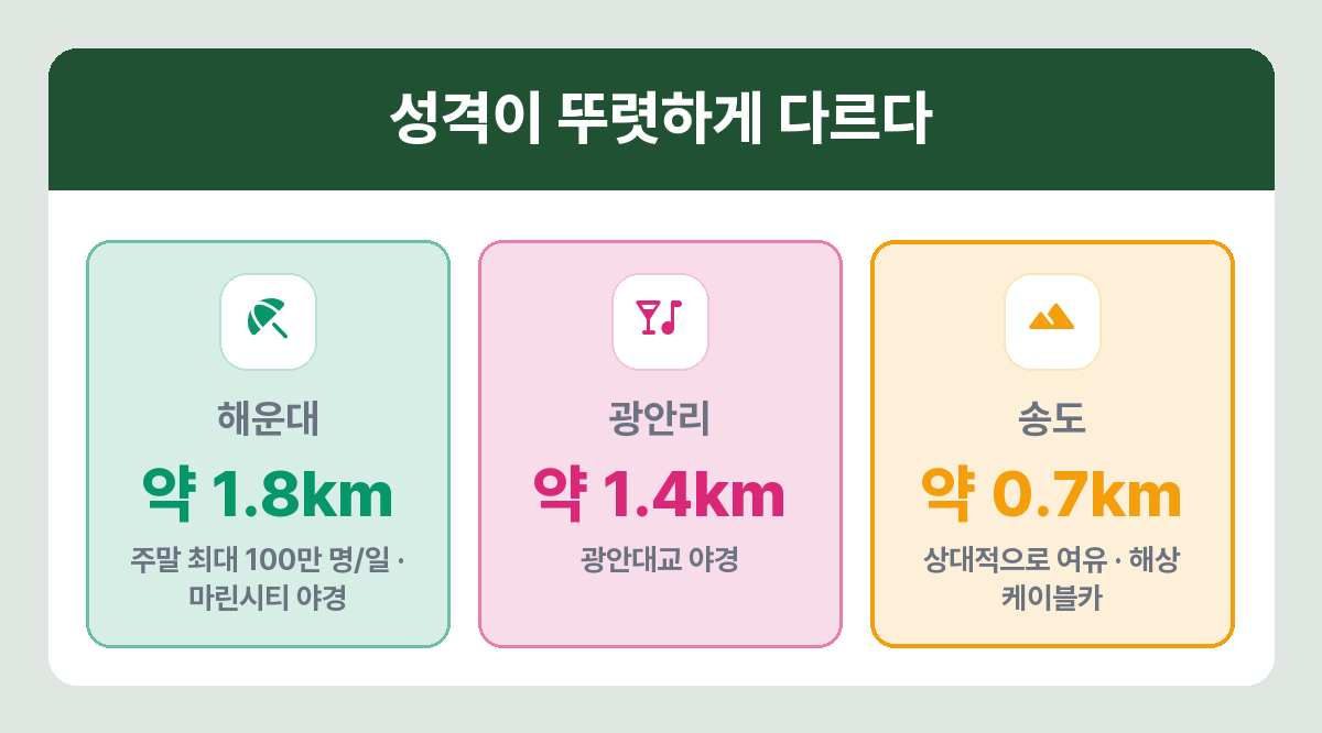 부산 세 해수욕장 규모와 혼잡도 비교