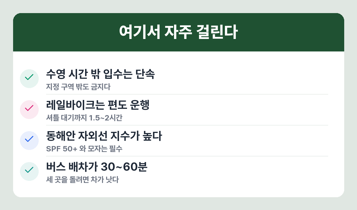 여름 강릉 당일치기에서 자주 놓치는 주의사항